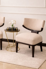 Modern Comfort Chair Set