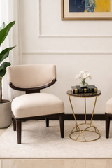 Modern Comfort Chair Set