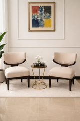 Modern Comfort Chair Set