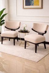 Modern Comfort Chair Set