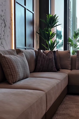 Neutral Haven